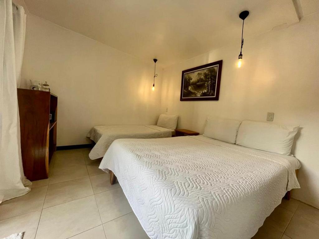 Freddy'S Place B&B Monteverde Ngoại thất bức ảnh