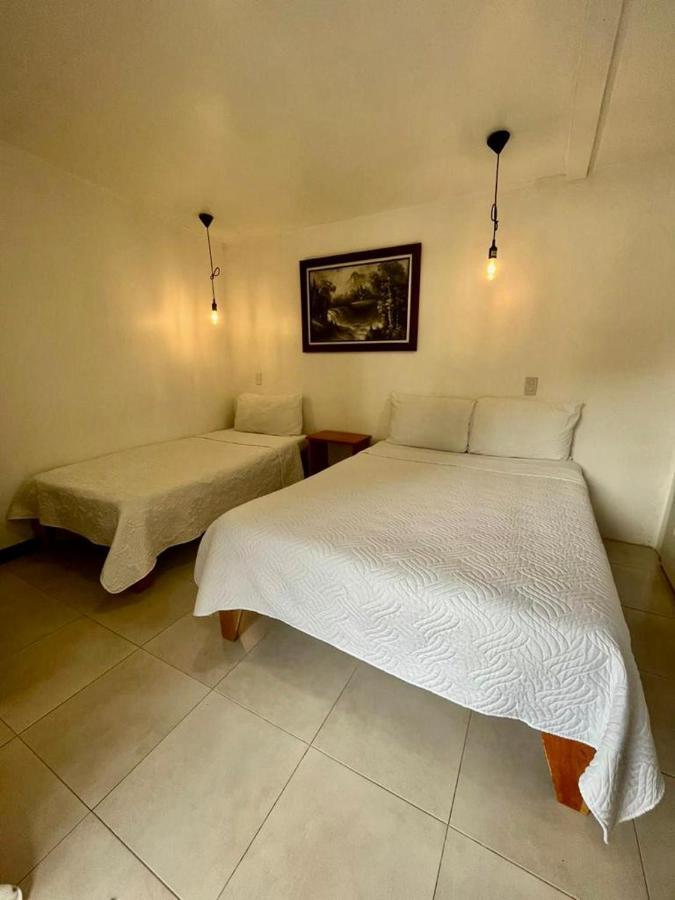 Freddy'S Place B&B Monteverde Ngoại thất bức ảnh