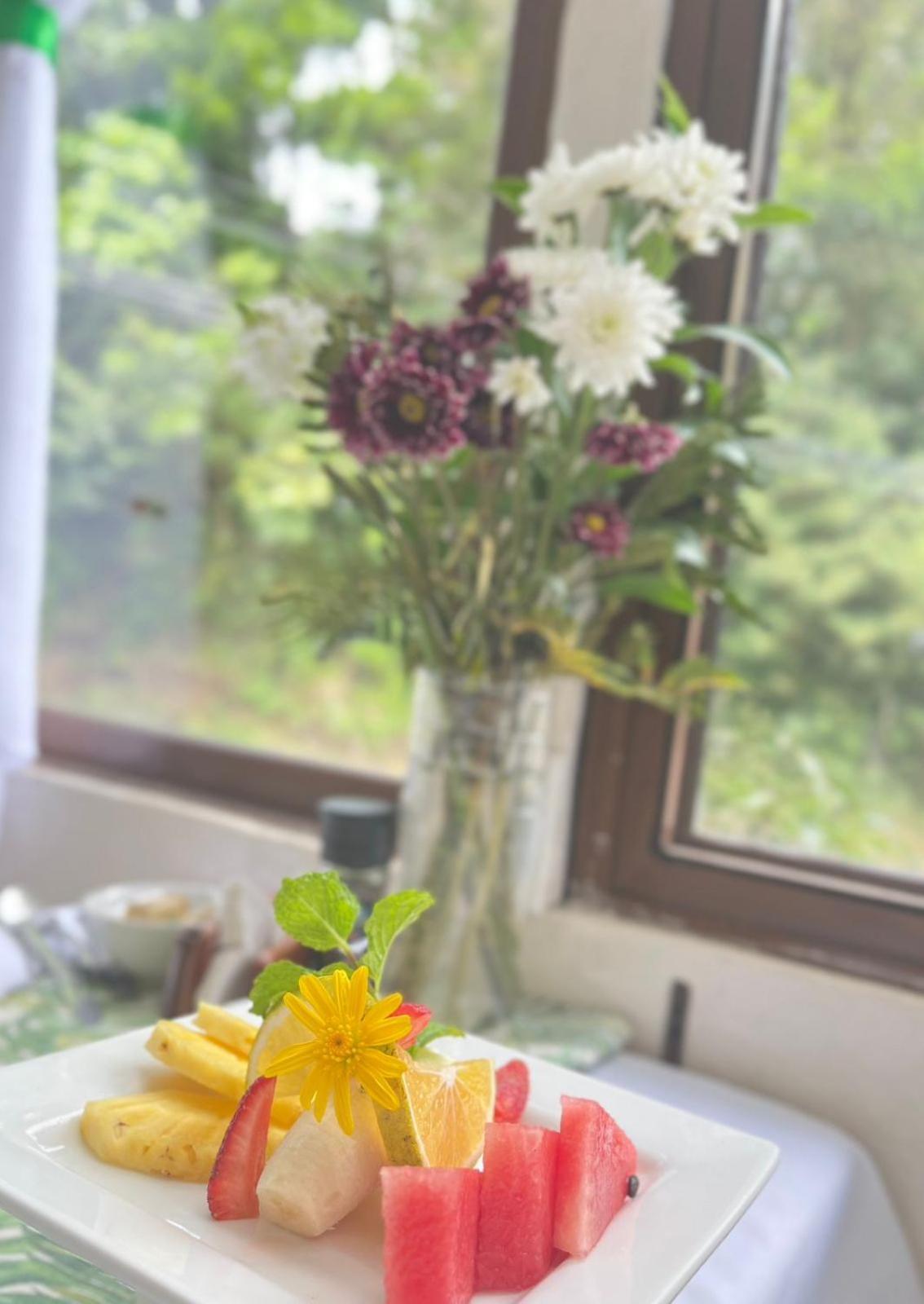 Freddy'S Place B&B Monteverde Ngoại thất bức ảnh