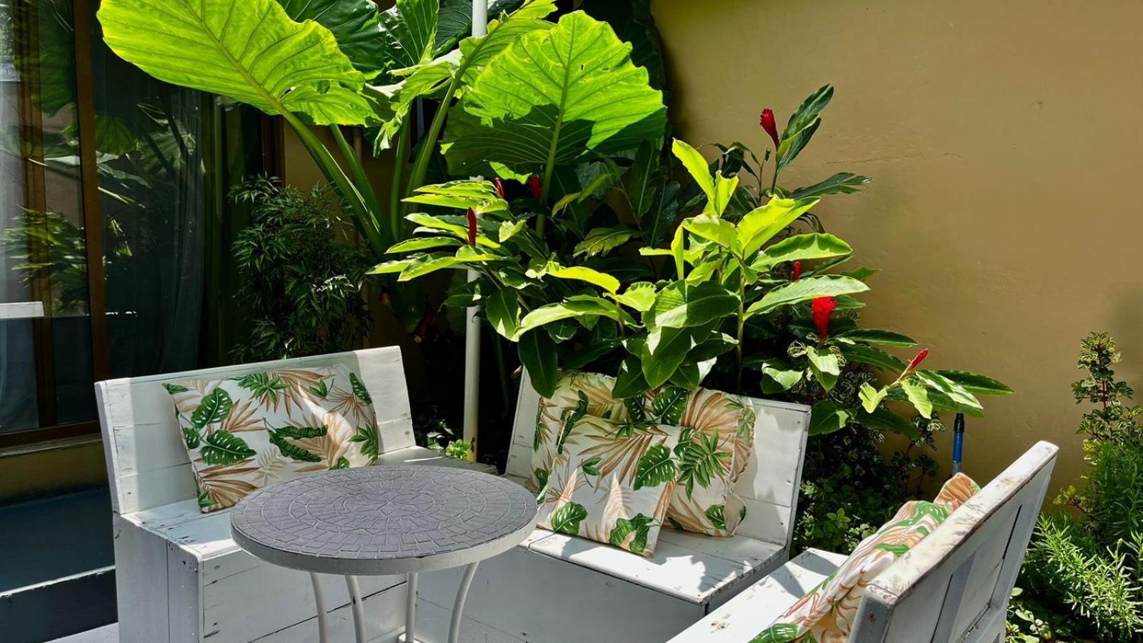 Freddy'S Place B&B Monteverde Ngoại thất bức ảnh
